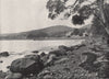 ROSTREVOR. Woodside, Rostrevor. Ulster 1895 old antique vintage print picture