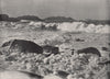 SCILLY ISLANDS. Hell Bay, Bryher. Cornwall 1895 old antique print picture