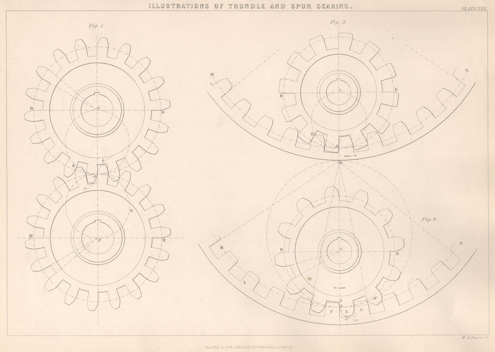 VICTORIAN ENGINEERING DRAWING. Illustrations of Trundle and Spur Gearing 1876