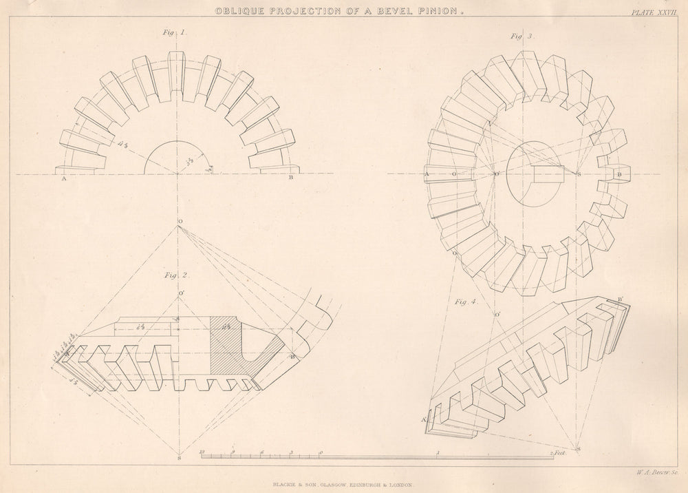 VICTORIAN ENGINEERING DRAWING. Oblique Projection of a Bevel-Pinion 1876 print