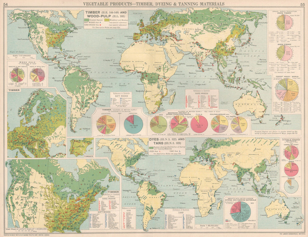 World. Timber, Dyeing & Tanning Material production. Wood pulp 1925 old map