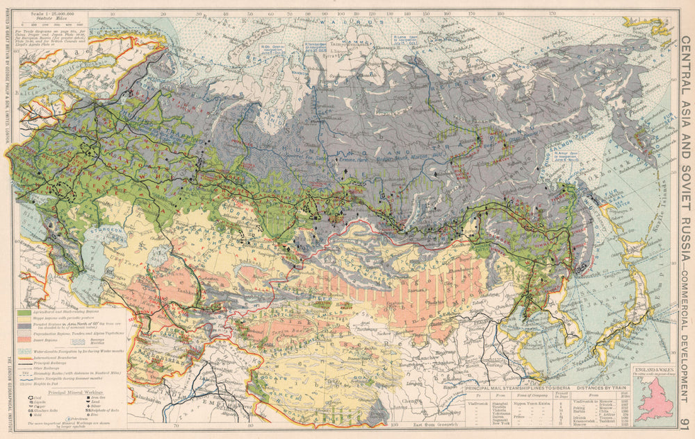 Central Asia & Soviet Russia. Commercial Agricultual Minerals & Mining 1925 map