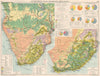 British South Africa. Commercial. Agricultural products & mining 1925 old map