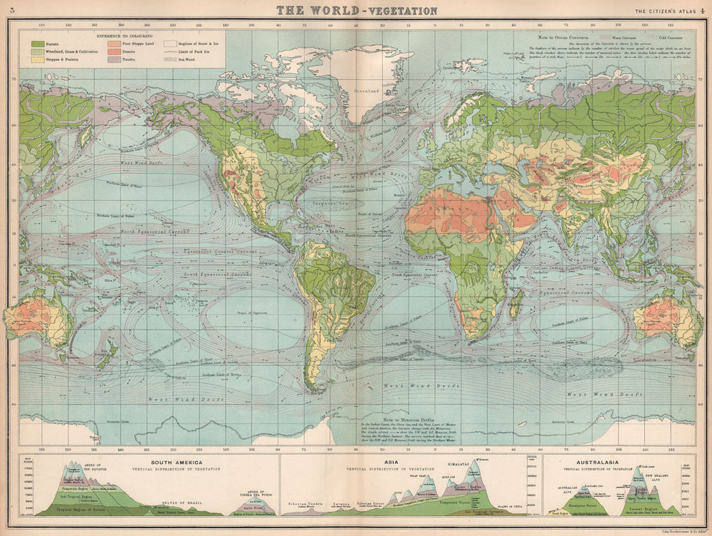 WORLD VEGETATION & OCEAN CURRENTS & vertical distribution of vegetation 1912 map