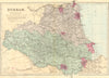 DURHAM. Antique county map by GW BACON 1884 old vintage plan chart