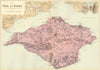 ISLE OF WIGHT. Antique map by GW BACON. Antique map by GW BACON 1884 old