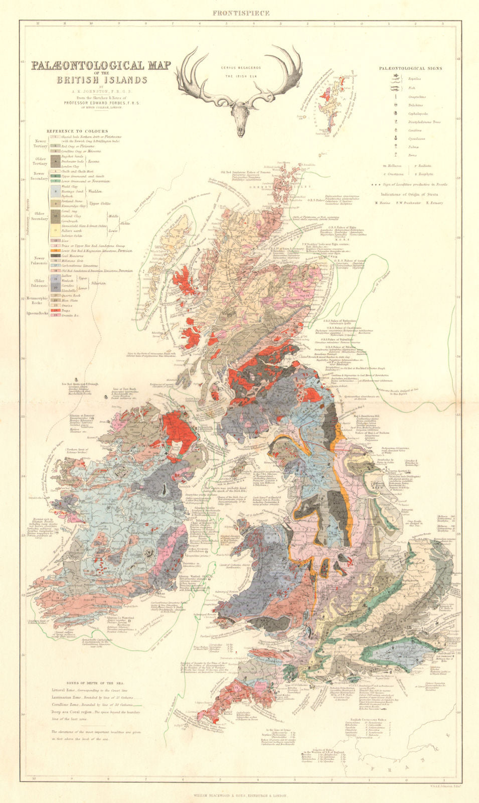 BRITISH ISLES. Palaentological and Geological Map 1850 old antique chart
