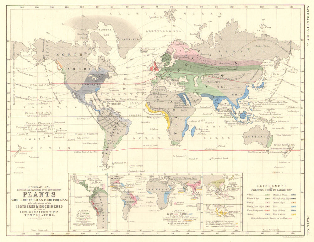 WORLD. Cultivated foods/plant distribution. Isotheres & isochimenes 1850 map