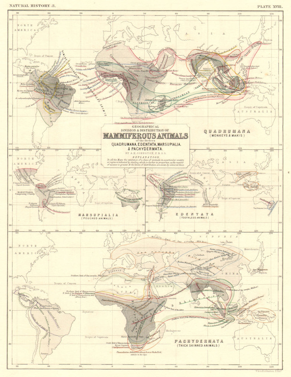 WORLD. Mammal distribution. Monkeys Edentata Marsupials Pachydermata 1850 map