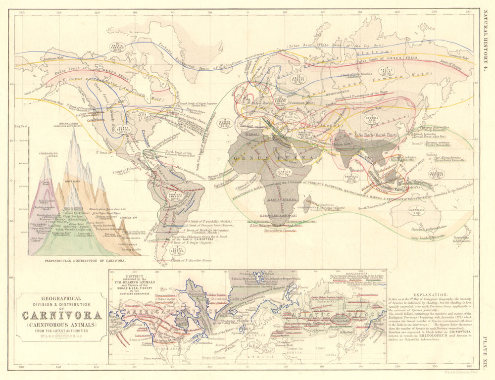 WORLD. Distribution of Carnivores.Theatre of Fur/whale/seal fishing 1850 map