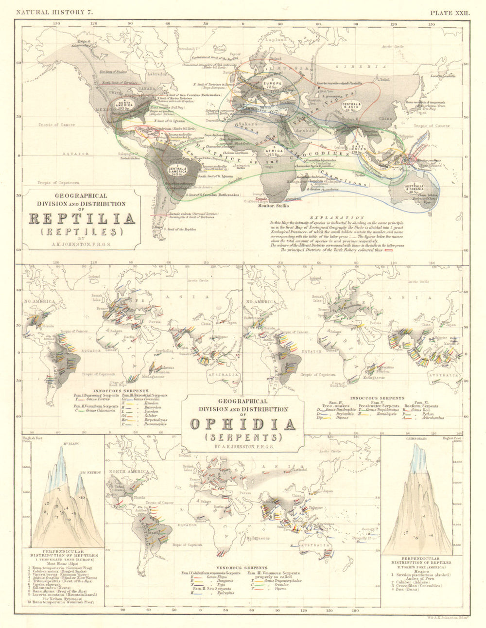 WORLD. Geographical & perpendicular distribution of Reptiles & Snakes 1850 map