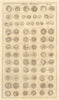 British Coins. 'NUMMI BRITANNICI' (II)  from Camden's Britannia 1772 old print