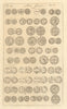 Saxon British Coins. 'NUMMI SAXONICI' (III)  from Camden's Britannia 1772