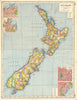 NEW ZEALAND. Counties. Auckland Wellington Christchurch Dunedin plans 1920 map