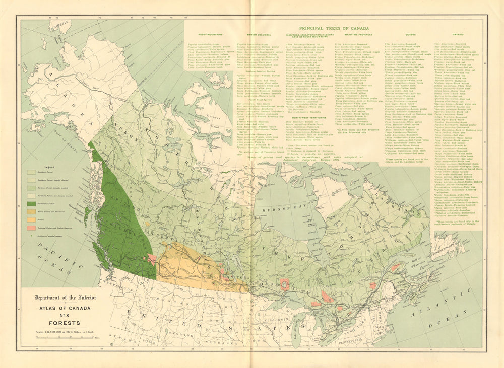 CANADA FORESTS. Cordilleran. Prairis. Parks. Timber reserves. WHITE 1906 map