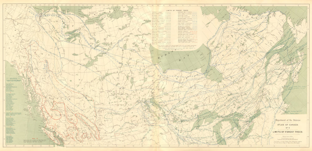 CANADA. Limits of forest trees. Maple Oak Cedar Birch Pine Beech. WHITE 1906
