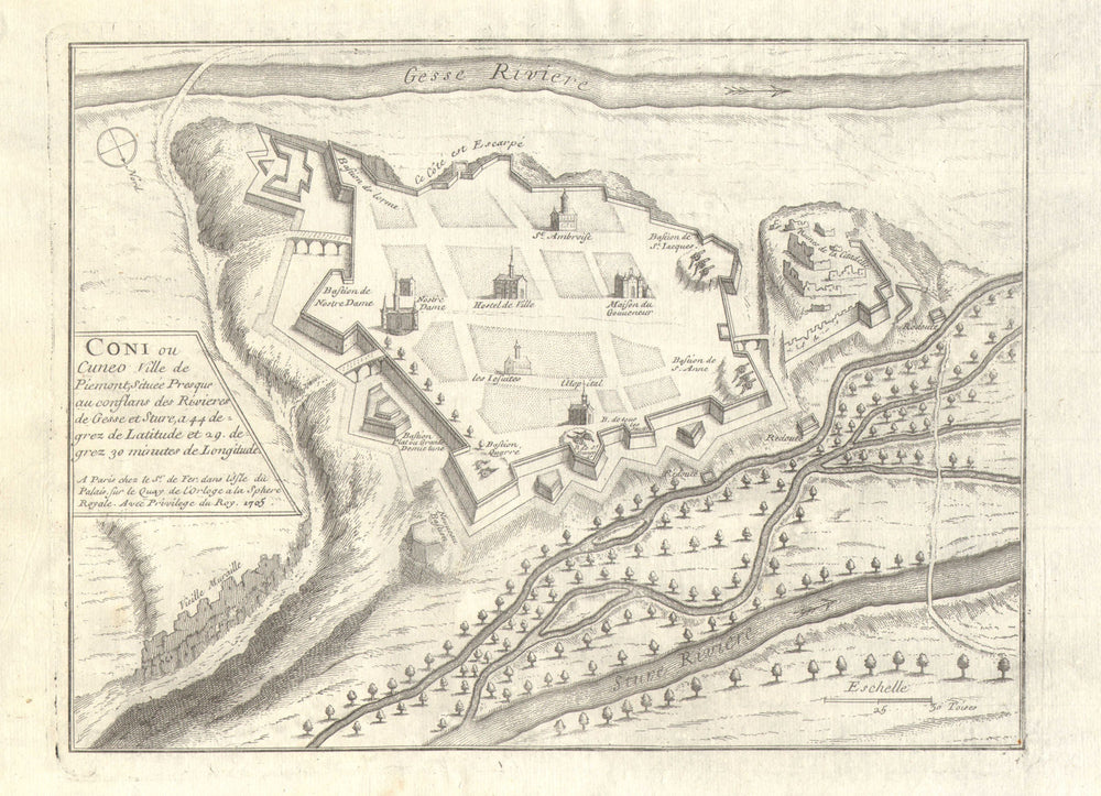 'Coni'. Cuneo. Plan of town/city & fortifications. Italy. DE FER 1705 old map