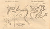 1747 old antique vintage map plan chart