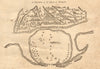 1747 old antique vintage map plan chart