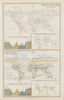 World zoological animal bird plant distribution tea sugar coffee cotton 1856 map