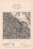 Flint Contributory Borough of Flint. JAMES. BOUNDARY COMMISSION 1868 old map
