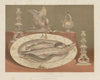 INTERNATIONAL EXHIBITION. Decorative earthenware. Avisseau, Tours 1862 print