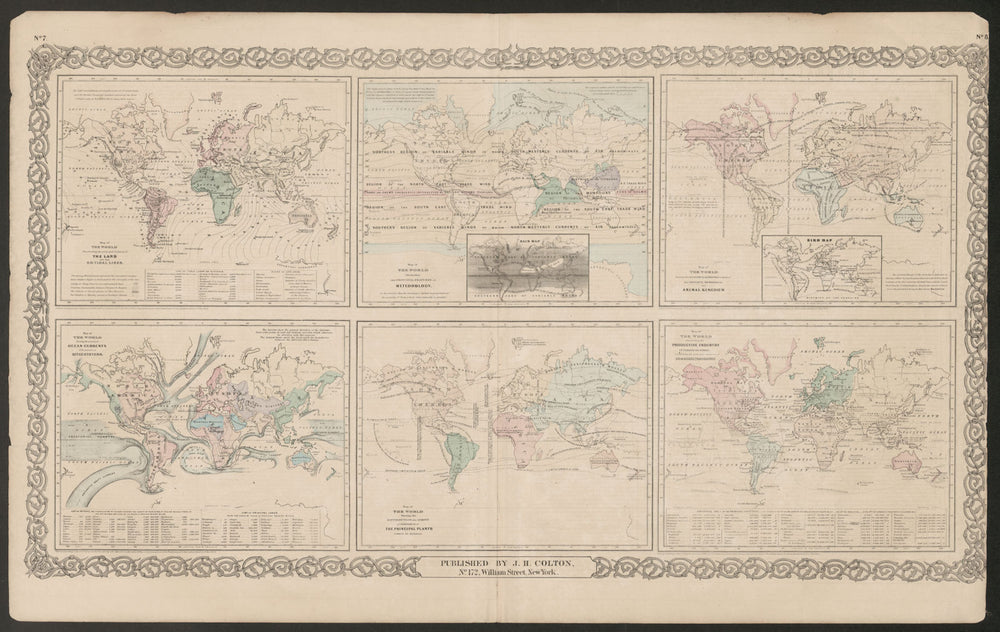 World. Cotidal Ocean lines currents Meteorology plants animals COLTON 1863 map