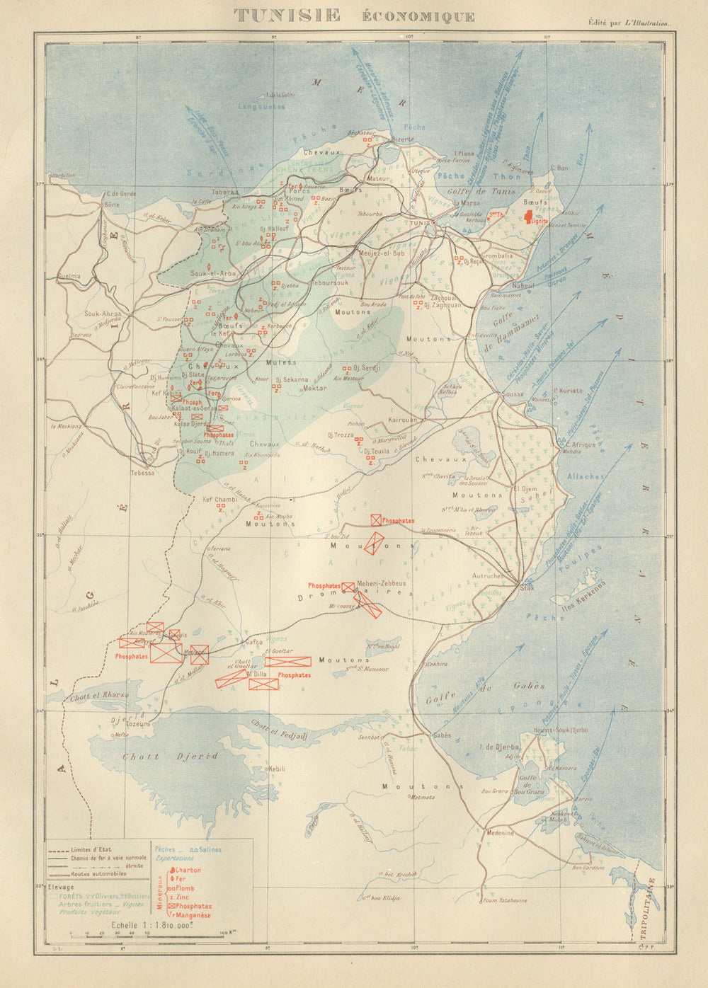 FRENCH COLONIAL TUNISIA RESOURCES. Tunisie. Economique Economic 1931 old map