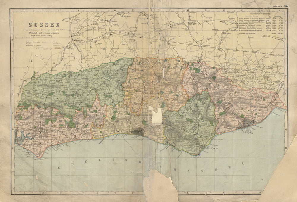 SUSSEX County map Parliamentary constituencies railways divisions BACON 1900