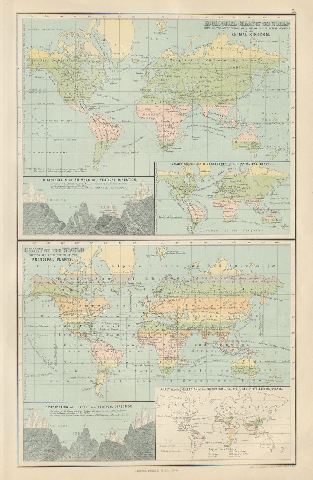 Zoological & Botanical Charts of the World. Plants animals. BARTHOLOMEW 1882 map