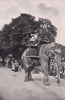 Zoological Gardens - Children Riding on the Elephants. London 1896 old print