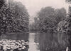 Wanstead Park - view on the lake. London 1896 old antique print picture