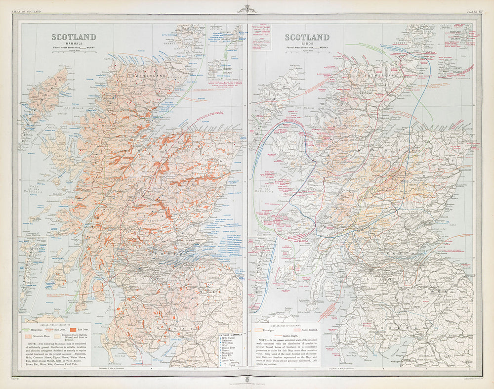 SCOTLAND Mammals Birds. Red Roe deer hare extinct Ptarmigan Eagle LARGE 1895 map
