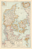 Denmark & Schleswig-Holstein. Faroe islands Iceland Bornholm. THE TIMES 1895 map