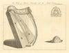 Trinity College harp. Brien Boromh Brian Boru. The Irish Crown 1806 old print
