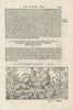 De Capricornis et Ibicibus. Capricorns and Ibexes. Switzerland. MÜNSTER 1572