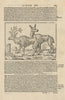Deer in Sweden. SEBASTIAN MÜNSTER 1572 old antique vintage print picture