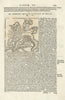 DD leonibus quorum copia est in Africa. An African lion. SEBASTIAN MÜNSTER 1572