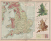 ENGLAND WALES. Vegetation Agriculture cultivated land crops. LARGE 1903 map