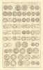 Saxon British Coins. 'NUMMI SAXONICI' (II)  from Camden's Britannia 1695 print