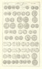 Saxon British Coins. 'NUMMI SAXONICI' (III)  from Camden's Britannia 1722