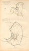 GODMANCHESTER borough/town plan. BOUNDARY COMMISSION. Hunts. DAWSON 1837 map