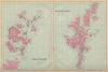 SCOTTISH ISLANDS Orkney & Shetland Islands antique map by GW BACON 1883