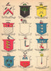 Irish arms O'Sullivan Healy O'Donovan Rooney Gleason Noonan O'Brien 1905 print