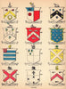 Irish arms Henry Bailey Johnson Christie Atkins McKay Mackey Cox Barron 1905