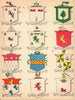 Irish arms Gibbons O'Leary Flanagan Campbell Roche Boyd Deasy McGarry Crean 1905
