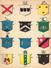 Irish arms Sloan Quigley Sheehan Maher Meagher Quinlan Curran Moloney Judge 1905