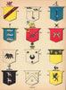 Irish arms Bradley Coughlan Hughes Hurley Hynes Manning Mannion Scully 1905