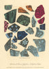 Stained Glass from St. Stephen's Chapel, Westminster. Plate 1 by J.T. Smith 1807