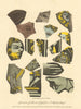 Stained Glass from St. Stephen's Chapel, Westminster. Plate 3 by J.T. Smith 1807